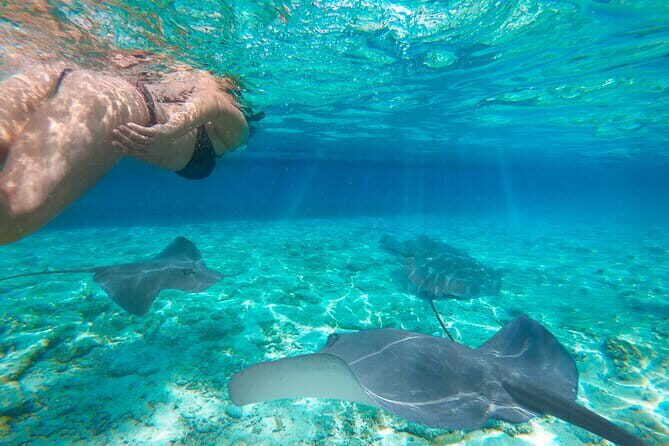 Private Speedboat Day Tour : Explore Komodo's Best - The Sum Up: Is This Tour Right for You?
