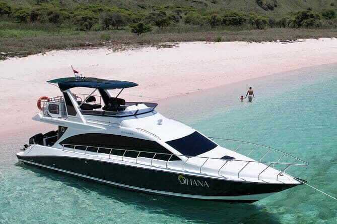 Private Speedboat Day Tour : Explore Komodo's Best - FAQ