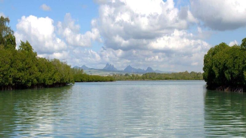 Private Speedboat to Bernache Island & Mauritius Mangroves - The Sum Up