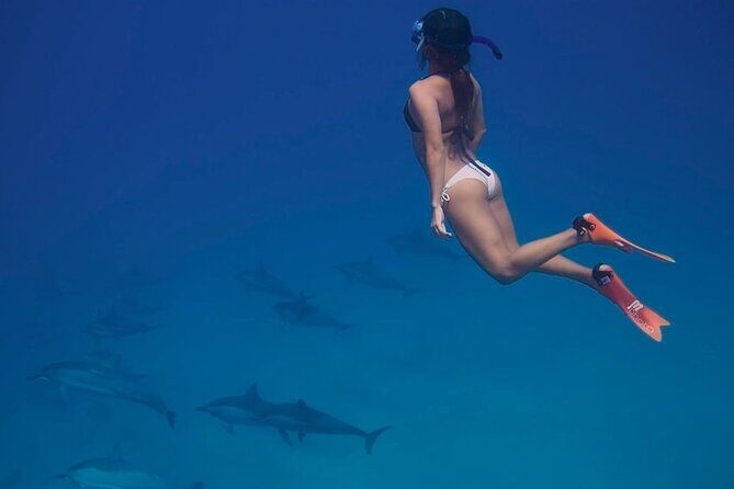 Private Speedboat To Dolphin House With Parasailing - Hurghada - FAQ