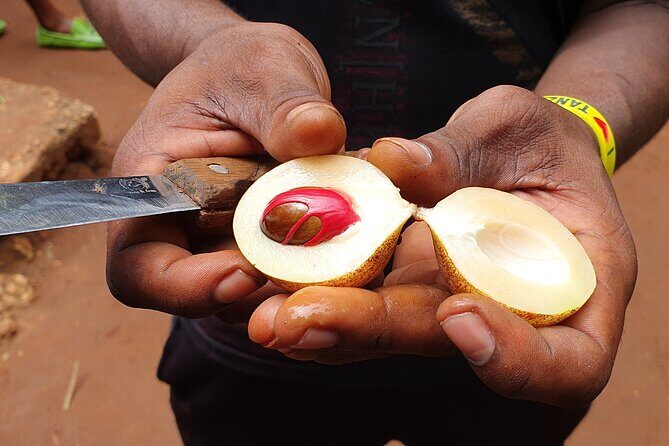 Private Spice Tour in Zanzibar with Pick Up - The Bottom Line: Is This Tour Right for You?