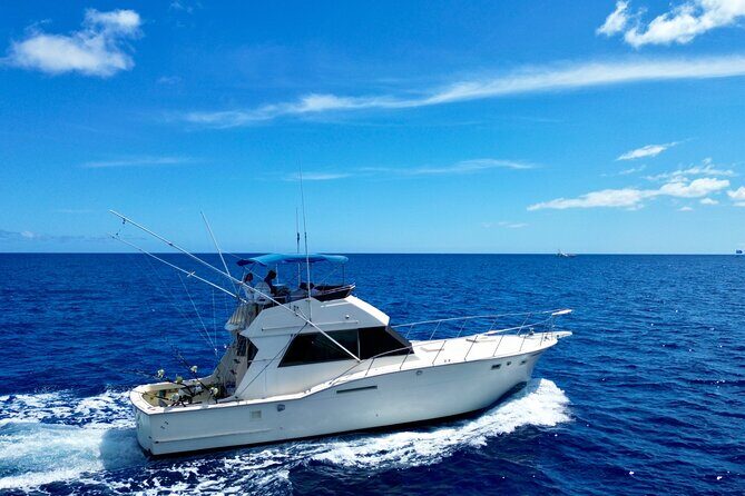 Private Sport Fishing Charters - The Sum Up