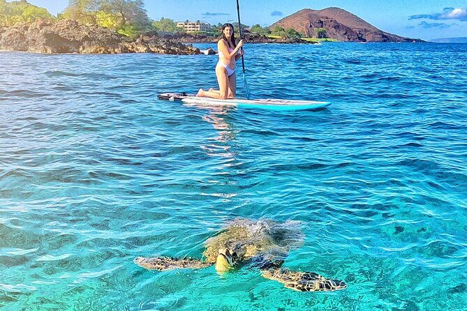 Private Stand Up Paddle Boarding Tour in Turtle Town, Maui - The Sum Up