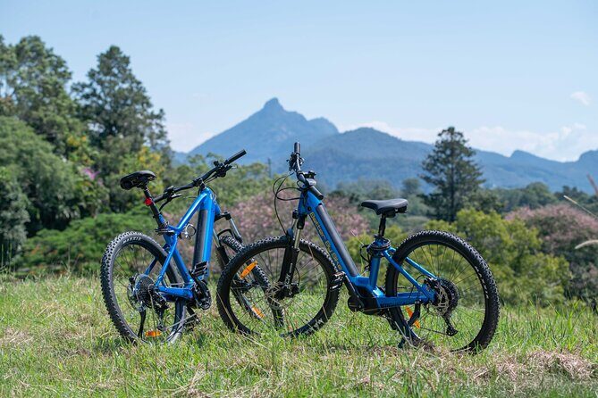 Private Stand Up Paddle Boarding Tours Byron Bay - The Value of the Experience