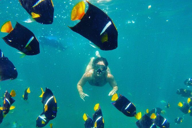 Private Stand Up Paddle Experience in Los Arcos Jalisco - What to Expect During Your Paddleboard Adventure