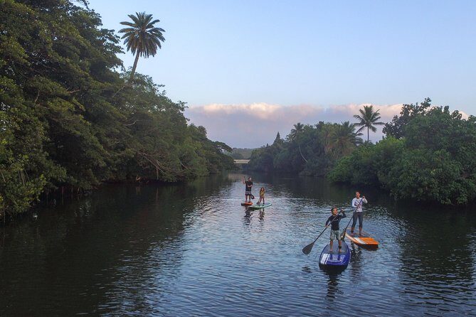 Private Stand up Paddle Lesson and Tour (for 1 or more paddlers) - What to Expect from the Paddleboard Tour