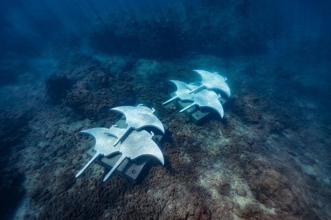 Private Standard Charter Experience in Whitsundays - Pricing and Value