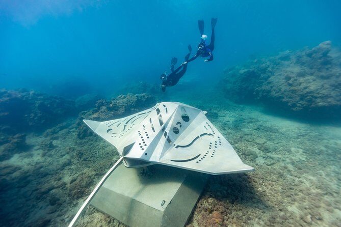 Private Standard Charter Experience in Whitsundays - Who Should Book This Experience?