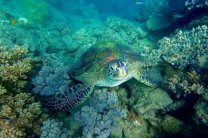 Private Standard Charter Experience in Whitsundays - The Sum Up