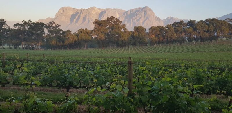 Private Stellenbosch and Franschhoek Wine Tour - Key Points