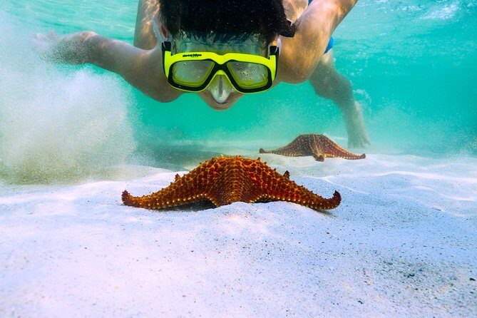 Private Stingray City and Snorkeling Half Day Charter for 6 Guest - Key Points