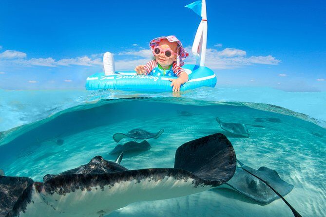 Private Stingray City and Snorkeling Half Day Charter for 6 Guest - Exploring the Itinerary