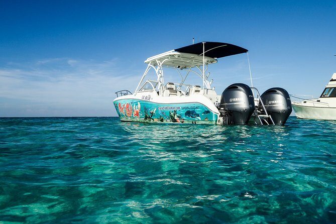 Private Stingray City and Snorkeling Half Day Charter for 6 Guest - The Sum Up