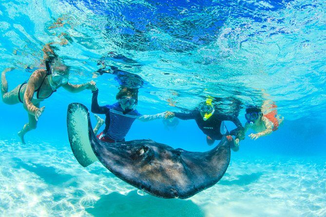 Private Stingray City Snorkeling and BioBay Charter for 6 Guests - What to Expect from the Tour