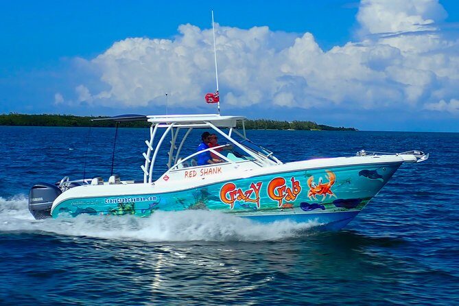 Private Stingray City Snorkeling and BioBay Charter for 6 Guests - The Sum Up