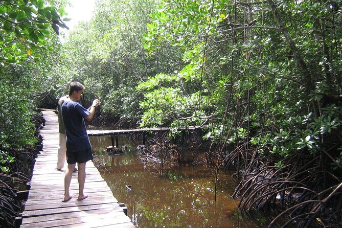 Private Stone Town & Spice Farm Tour - The Itinerary in Detail