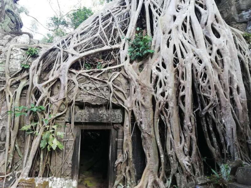 Private Sunrise Angkor Wat Tour - The Practicalities: Comfort, Timing, and Flexibility