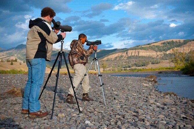 Private Sunrise Wildlife Adventure Into Yellowstone Lamar Valley - The Value Proposition