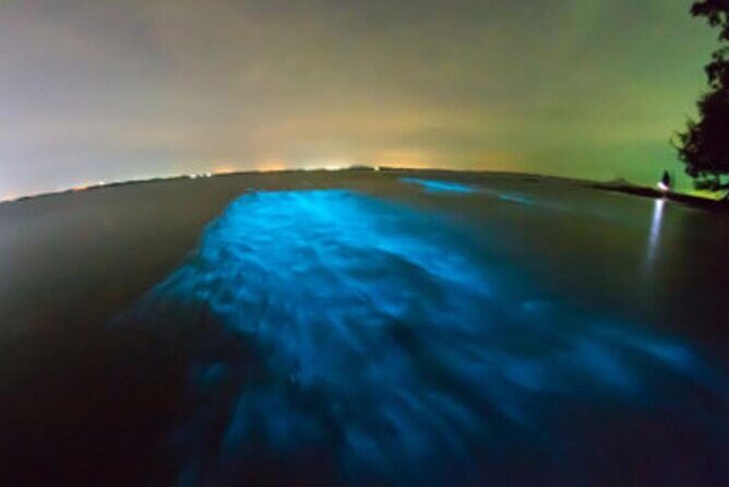 Private Sunset and Bioluminescence Tours in Cocoa Beach - Key Points