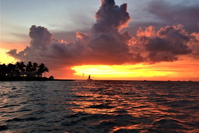 Private Sunset Cruise in Key Largo - Why Youll Love This Tour