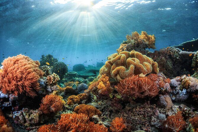 Private Sunset Cruise in Kona - Who Should Consider This Cruise?