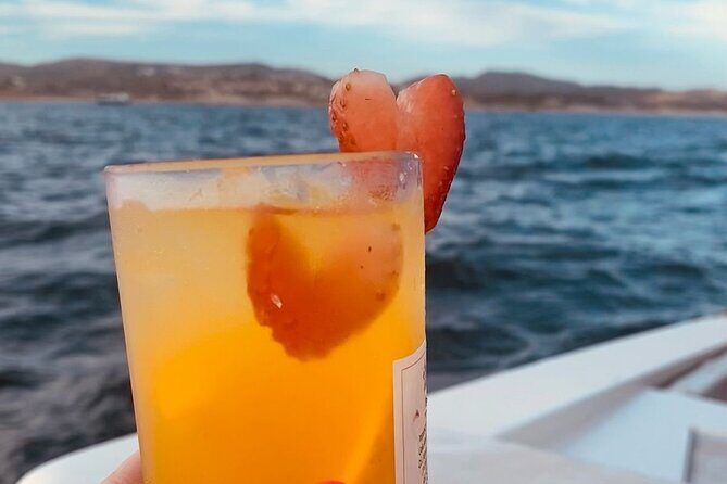 Private Sunset Cruise in San Jose del Cabo Appetizers,open bar - Who Should Consider This?
