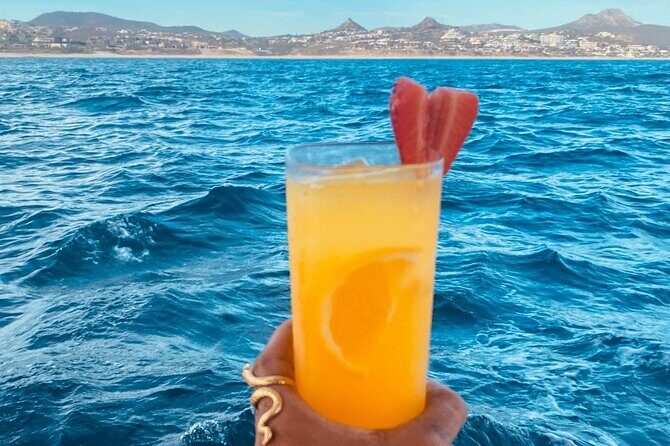 Private Sunset Cruise in San Jose del Cabo Appetizers,open bar - FAQs