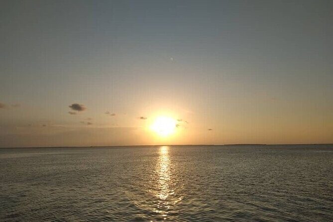 Private Sunset Dhow Cruise in Stone Town Zanzibar - What to Expect from the Sunset Dhow Cruise