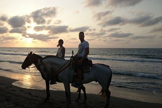 Private Sunset Horseback Riding in punta cana beach - How Does It Compare to Other Tours?