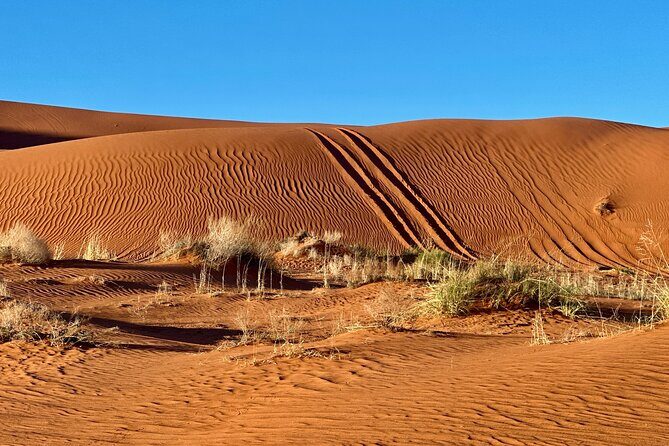 Private Sunset Jeep Ride to Sand Mountain - What to Expect from the Sunset Jeep Tour