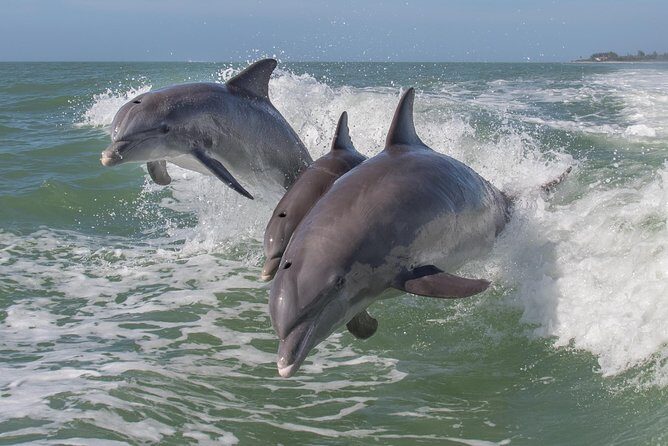 PRIVATE Sunset & Sightseeing Boat Trip of Naples Bay and the Gulf - What Travelers Are Saying