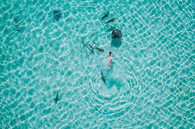 PRIVATE Sunset Tour: Moorea Snorkeling on a Catamaran named Taboo - Who Will Love This Tour?