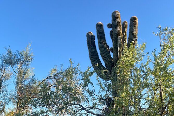 Private Sunset Walking Tour -Sonoran Desert Botanical Gardens 2h - FAQs
