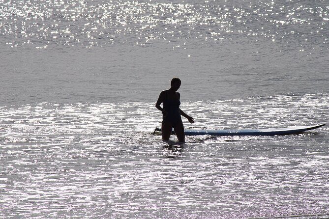 Private Surf Coaching Session in New South Wales - Who Would Love This Experience?