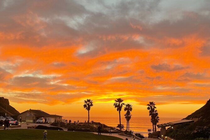 Private Surf Lesson Solana Beach Ride the Waves Fletcher Cove 2hr - What Makes This Surf Lesson Stand Out