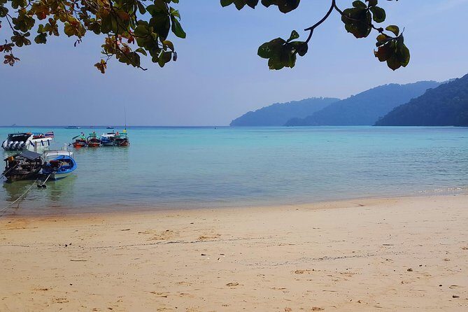 Private Surin Islands Longtail Boat Tour - What to Expect from the Guides