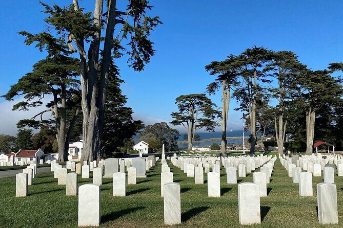 Private SUV Tour of San Francisco's Movie and TV Locations - Price and Value