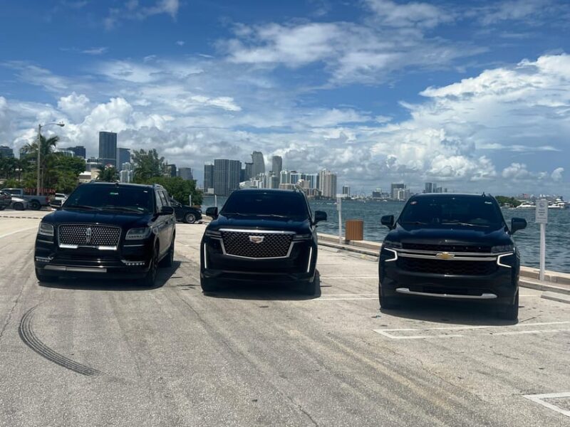 Private SUV Tour Through The City of Miami - Authentic Testimonials and Review Highlights