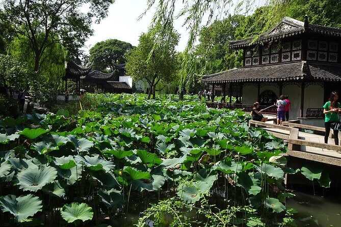 Private Suzhou Day Tour from Shanghai to Classical Gardens and Tongli Water Town - Summary of the Experience