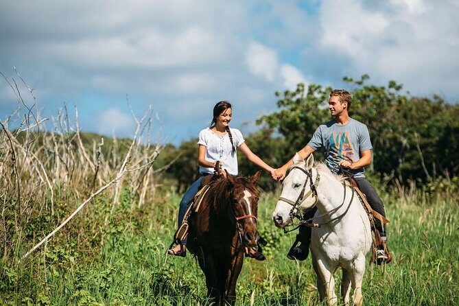 Private Sweetheart Horseback Ride - A Close-Up Look at the Private Sweetheart Horseback Ride in Oahu