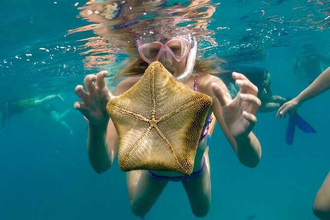 Private Swim and Sail Charter (Kewalo Harbor) - Final Thoughts: Is It Worth It?