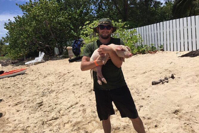 Private Swim With Pigs and Snorkeling in Paradise Tour - Final Thoughts