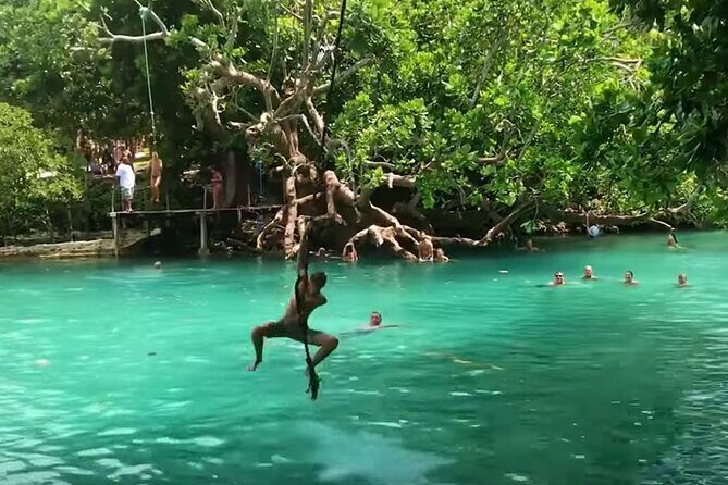 Private Swimming with Turtles/Sharks at Blue Lagoon and Waterfall - A Deep Dive into the Tour Experience