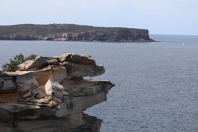 Private Sydney City and Bondi Beach Half Day Tour - FAQ