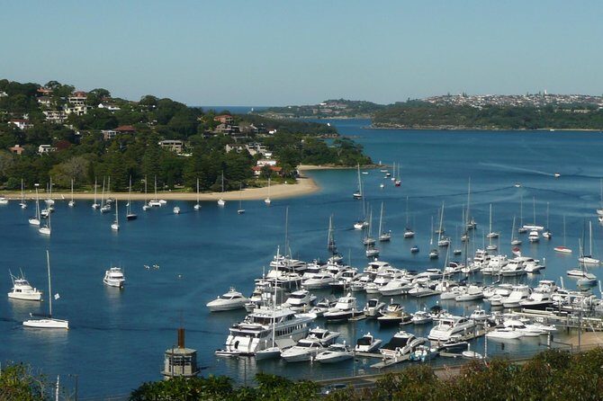 Private Sydney City Tour: The Key Attractions - Authentic Experiences Highlighted in Reviews