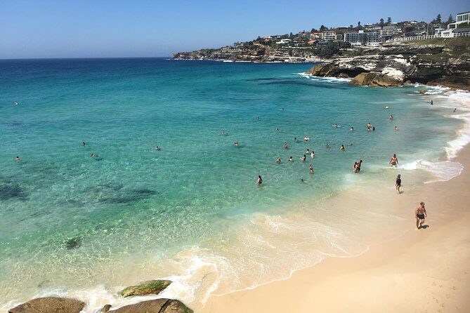 Private Sydney City Tour: The Key Attractions - The Experience: What Youll Love