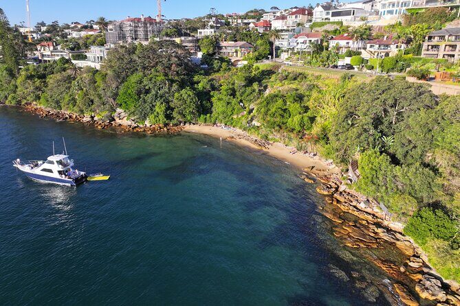 Private Sydney Harbour Morning Sail with Mimosas - The Experience and Atmosphere