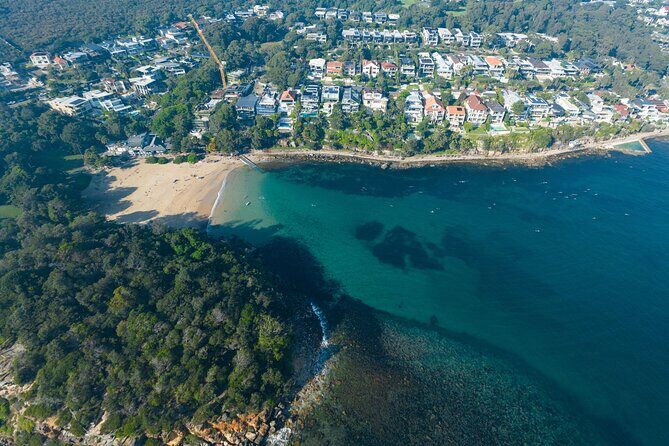 Private Sydney Snorkeling Experience: Explore Cabbage Tree Bay - Final Thoughts: Who Will Love This Tour?