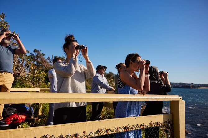 Private Sydney Snorkeling Experience: Explore Cabbage Tree Bay - Frequently Asked Questions