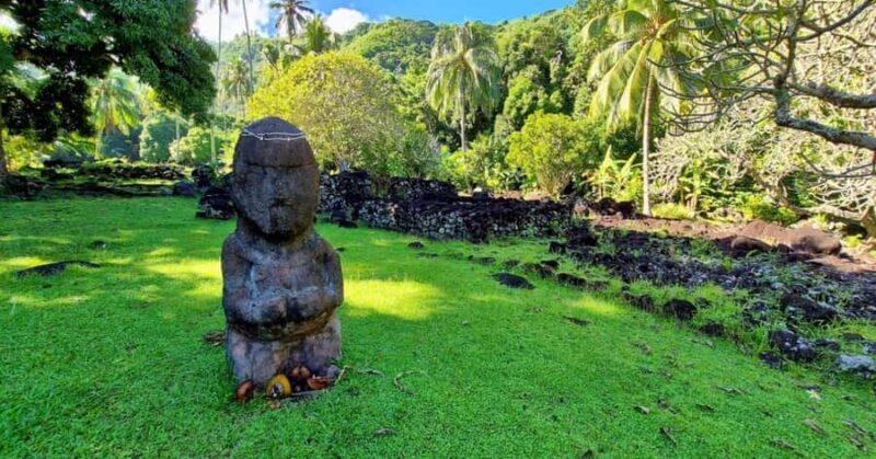 Private Tahiti Island Tour  5.5 Hours - The Tour in Detail: What to Expect